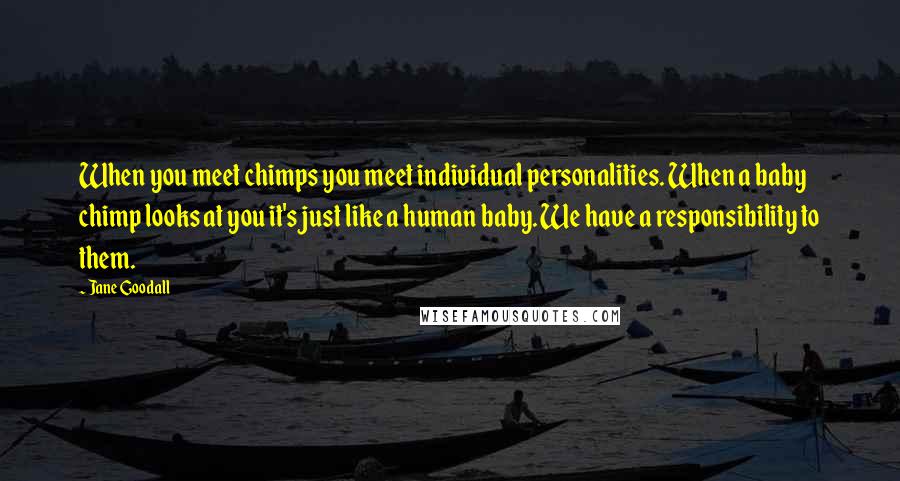 Jane Goodall Quotes: When you meet chimps you meet individual personalities. When a baby chimp looks at you it's just like a human baby. We have a responsibility to them.