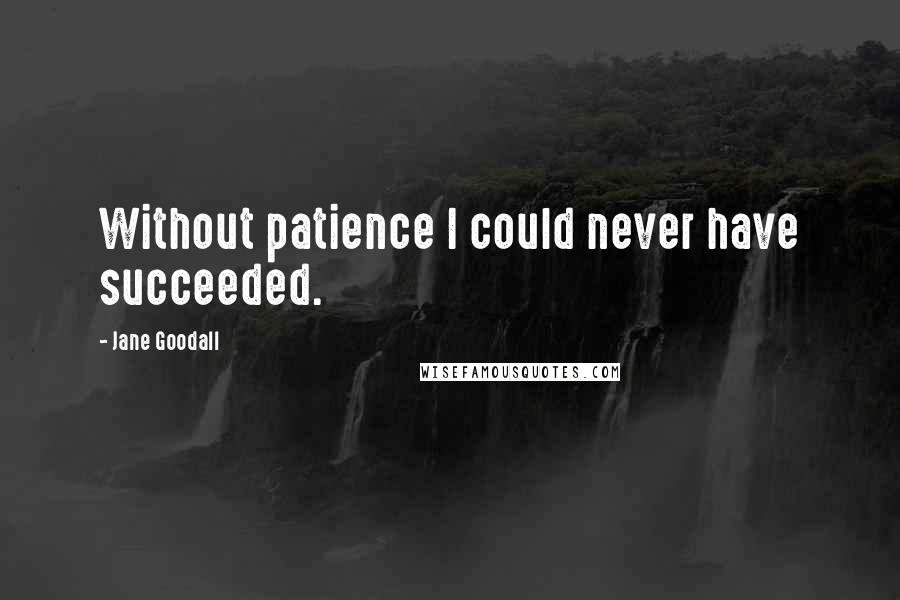 Jane Goodall Quotes: Without patience I could never have succeeded.