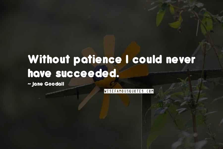 Jane Goodall Quotes: Without patience I could never have succeeded.