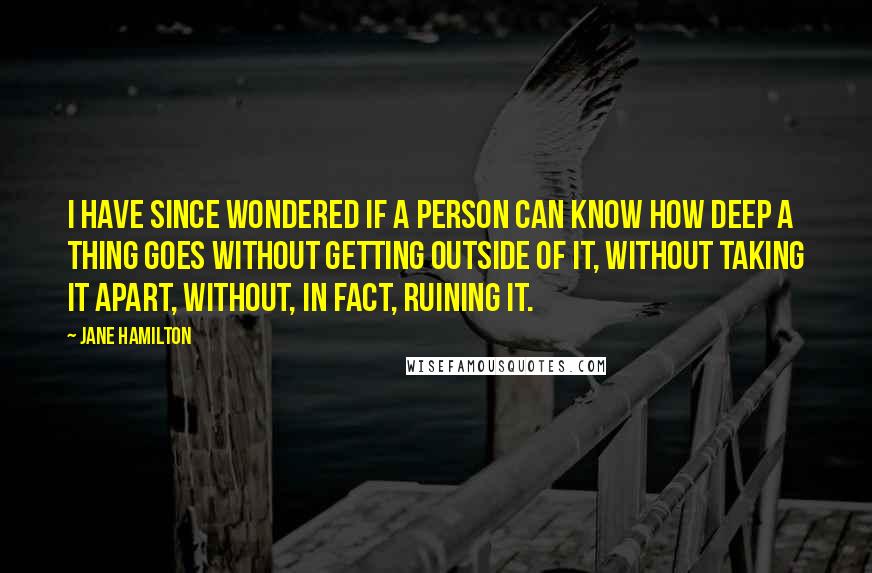 Jane Hamilton Quotes: I have since wondered if a person can know how deep a thing goes without getting outside of it, without taking it apart, without, in fact, ruining it.