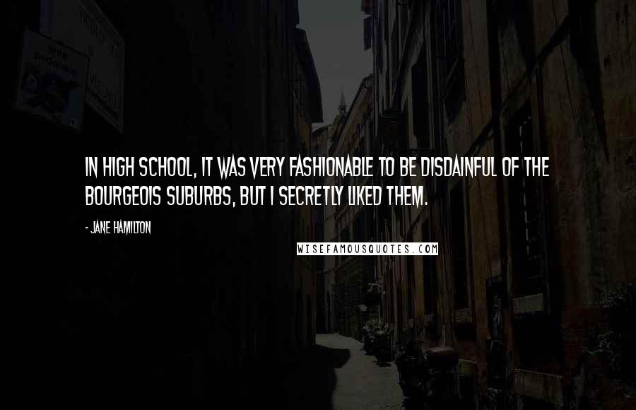 Jane Hamilton Quotes: In high school, it was very fashionable to be disdainful of the bourgeois suburbs, but I secretly liked them.