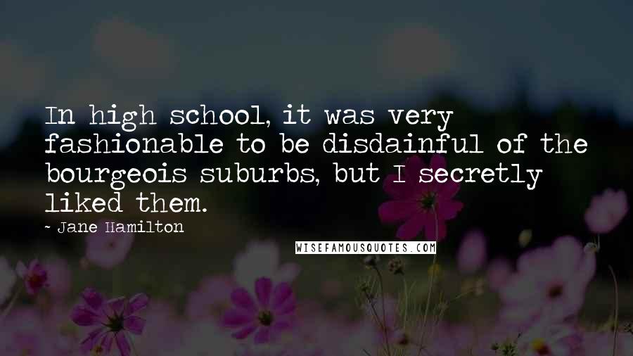 Jane Hamilton Quotes: In high school, it was very fashionable to be disdainful of the bourgeois suburbs, but I secretly liked them.