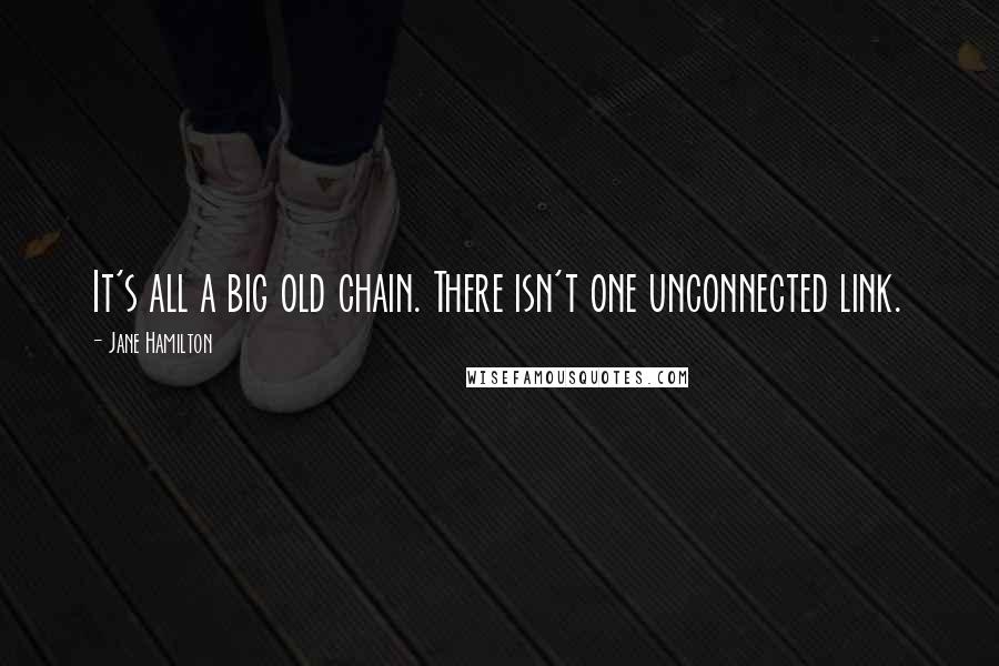 Jane Hamilton Quotes: It's all a big old chain. There isn't one unconnected link.