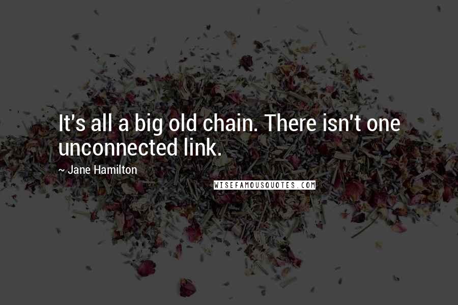 Jane Hamilton Quotes: It's all a big old chain. There isn't one unconnected link.