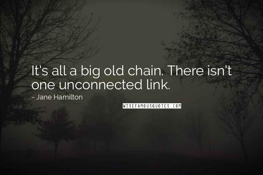 Jane Hamilton Quotes: It's all a big old chain. There isn't one unconnected link.