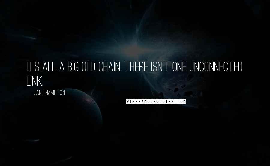 Jane Hamilton Quotes: It's all a big old chain. There isn't one unconnected link.