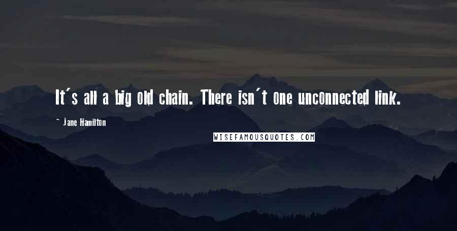 Jane Hamilton Quotes: It's all a big old chain. There isn't one unconnected link.