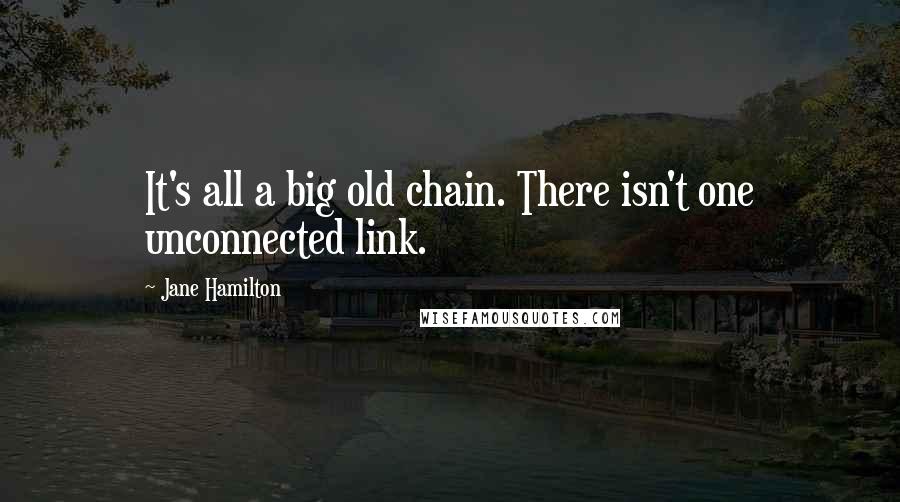 Jane Hamilton Quotes: It's all a big old chain. There isn't one unconnected link.