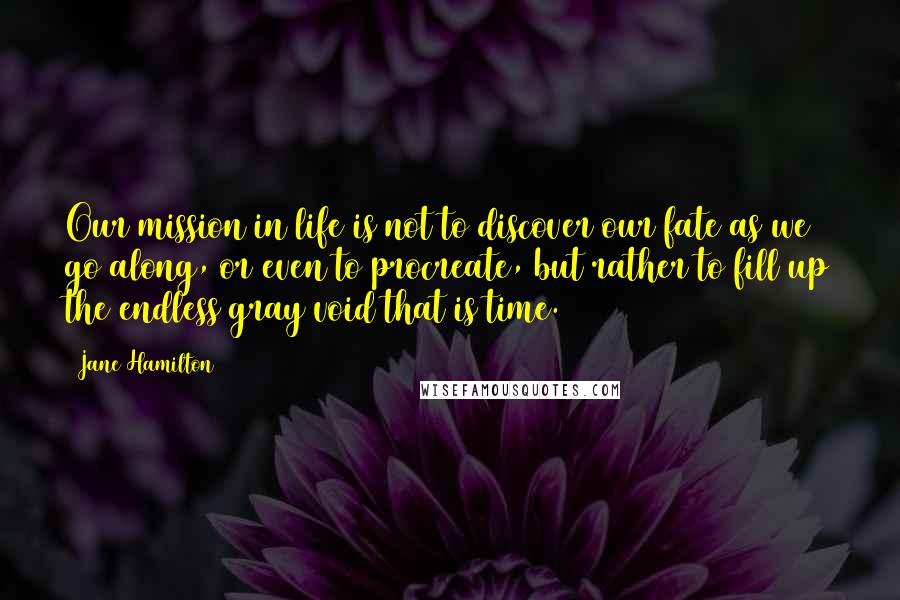 Jane Hamilton Quotes: Our mission in life is not to discover our fate as we go along, or even to procreate, but rather to fill up the endless gray void that is time.