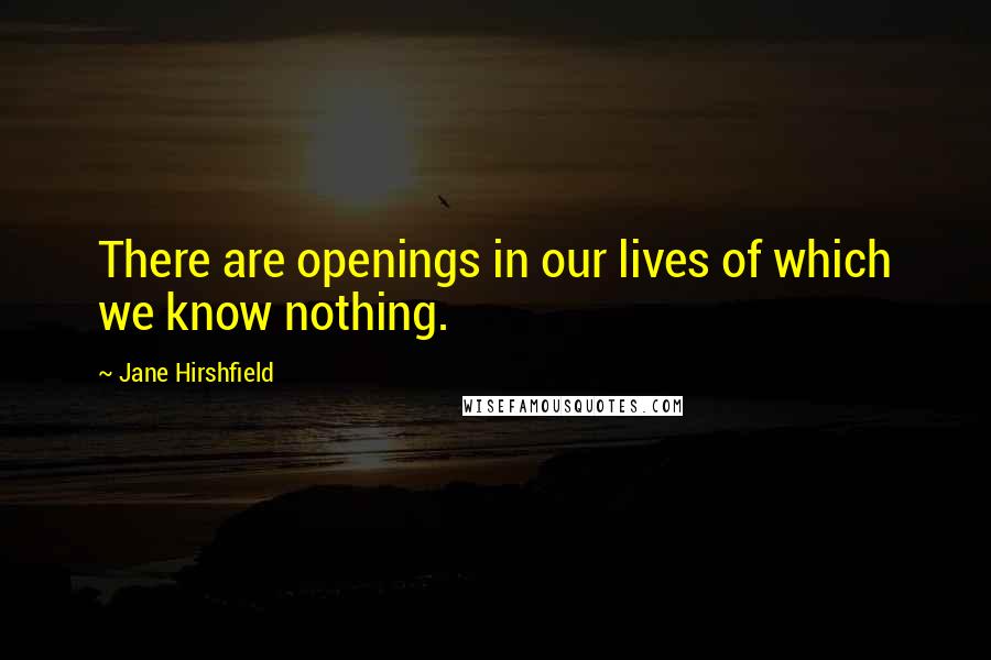 Jane Hirshfield Quotes: There are openings in our lives of which we know nothing.