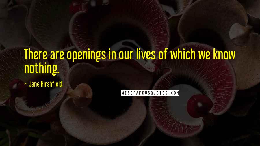 Jane Hirshfield Quotes: There are openings in our lives of which we know nothing.