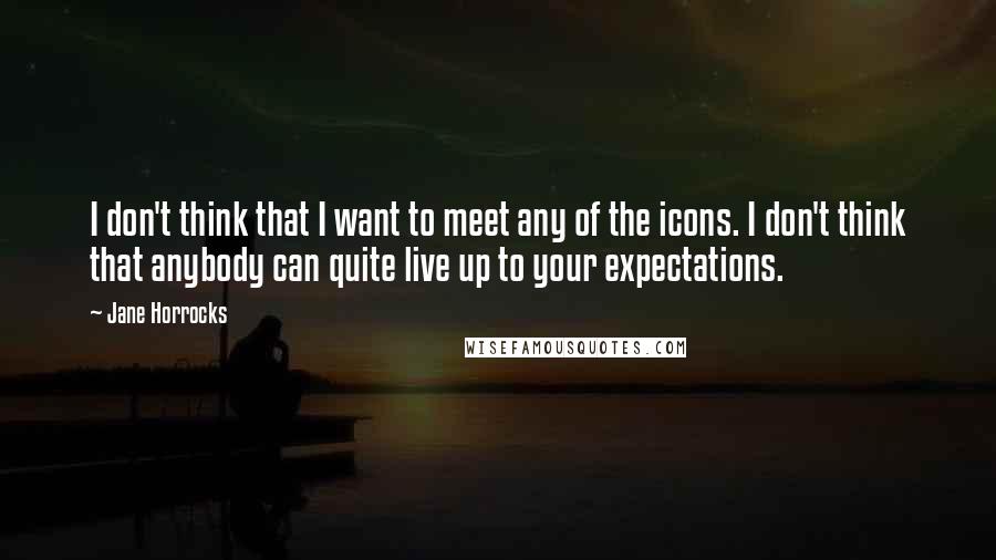 Jane Horrocks Quotes: I don't think that I want to meet any of the icons. I don't think that anybody can quite live up to your expectations.