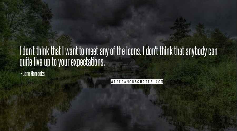 Jane Horrocks Quotes: I don't think that I want to meet any of the icons. I don't think that anybody can quite live up to your expectations.