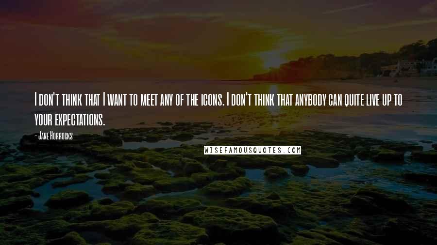 Jane Horrocks Quotes: I don't think that I want to meet any of the icons. I don't think that anybody can quite live up to your expectations.