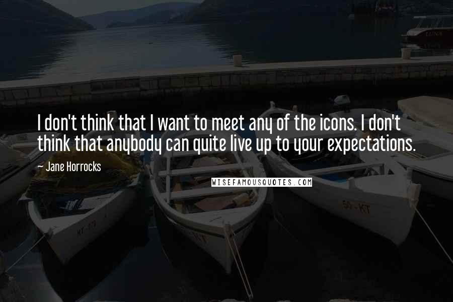Jane Horrocks Quotes: I don't think that I want to meet any of the icons. I don't think that anybody can quite live up to your expectations.