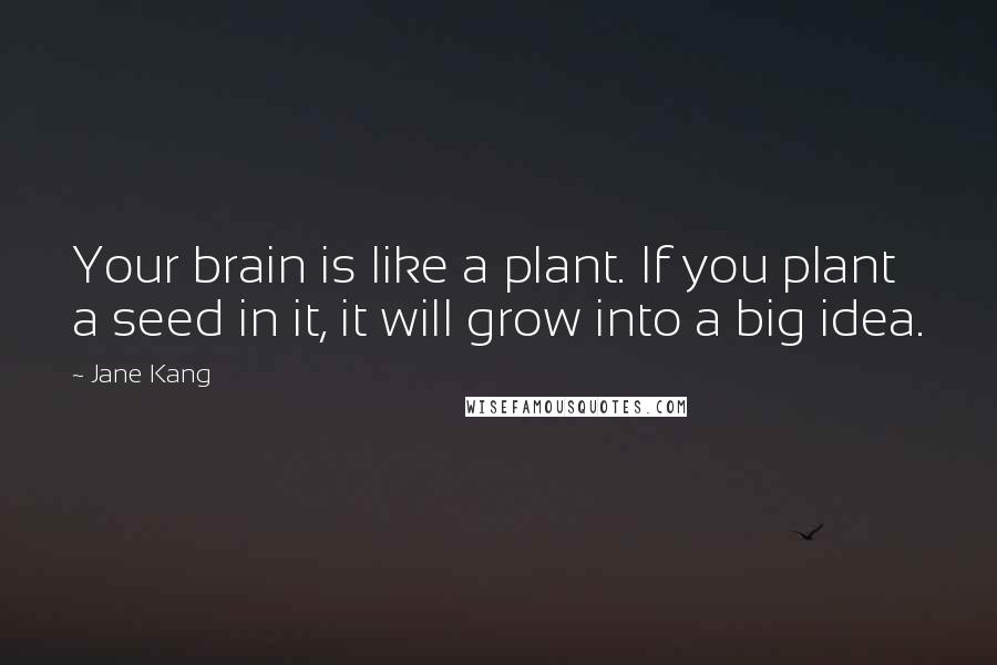 Jane Kang Quotes: Your brain is like a plant. If you plant a seed in it, it will grow into a big idea.