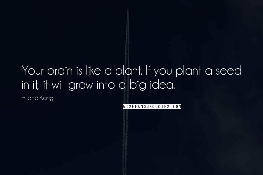 Jane Kang Quotes: Your brain is like a plant. If you plant a seed in it, it will grow into a big idea.