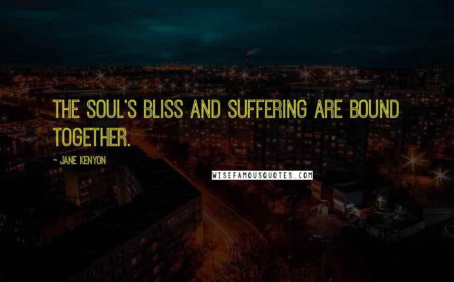 Jane Kenyon Quotes: The soul's bliss and suffering are bound together.