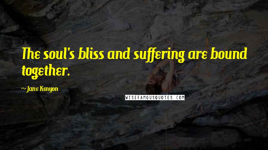 Jane Kenyon Quotes: The soul's bliss and suffering are bound together.