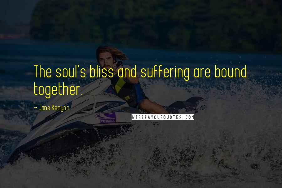 Jane Kenyon Quotes: The soul's bliss and suffering are bound together.