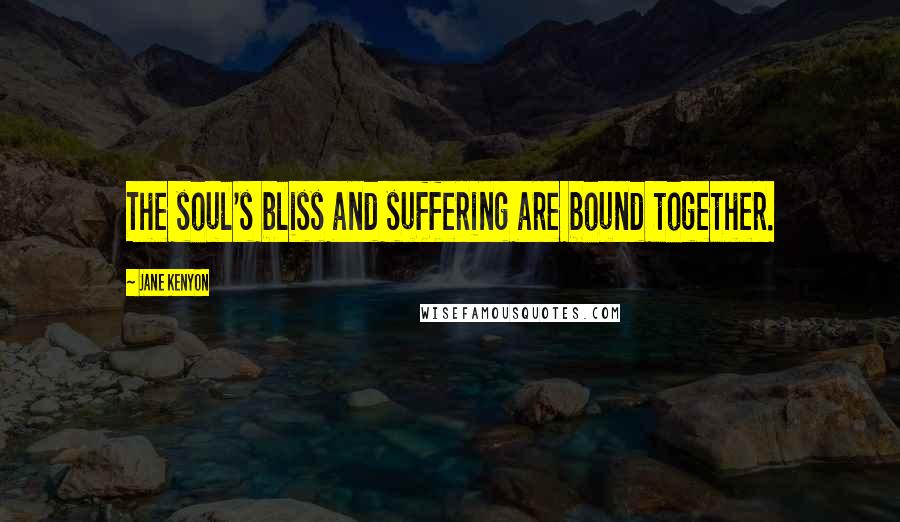 Jane Kenyon Quotes: The soul's bliss and suffering are bound together.