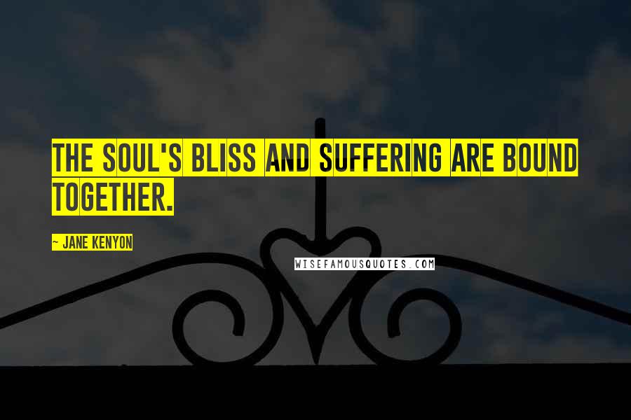 Jane Kenyon Quotes: The soul's bliss and suffering are bound together.