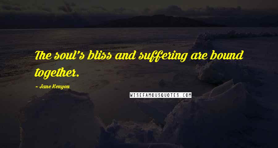 Jane Kenyon Quotes: The soul's bliss and suffering are bound together.