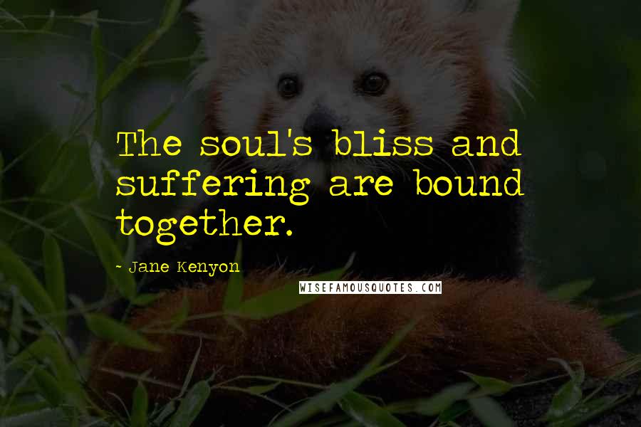 Jane Kenyon Quotes: The soul's bliss and suffering are bound together.