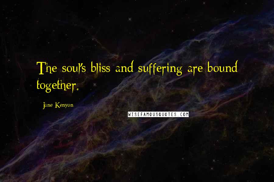 Jane Kenyon Quotes: The soul's bliss and suffering are bound together.