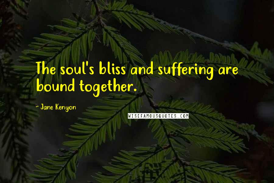 Jane Kenyon Quotes: The soul's bliss and suffering are bound together.