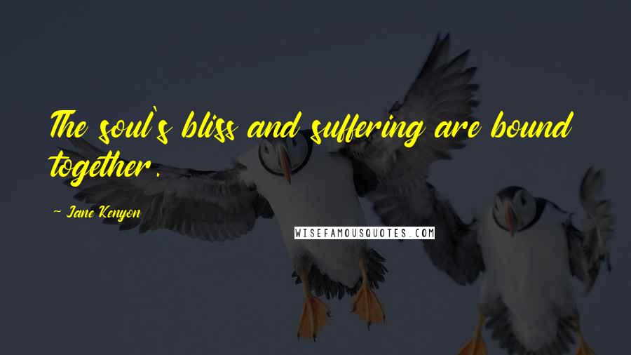 Jane Kenyon Quotes: The soul's bliss and suffering are bound together.