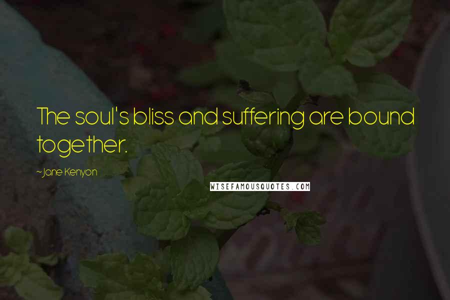 Jane Kenyon Quotes: The soul's bliss and suffering are bound together.