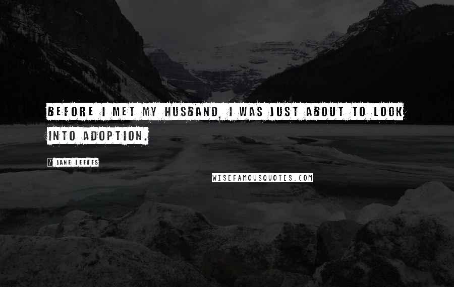 Jane Leeves Quotes: Before I met my husband, I was just about to look into adoption.