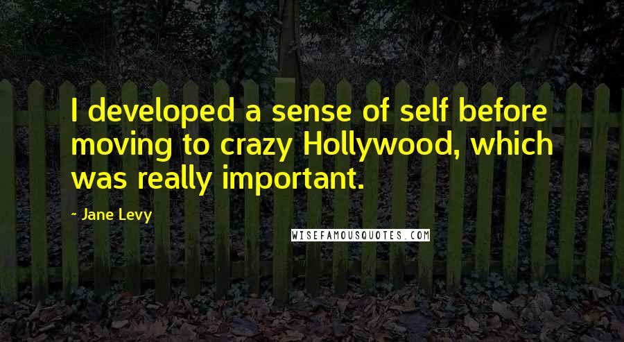 Jane Levy Quotes: I developed a sense of self before moving to crazy Hollywood, which was really important.