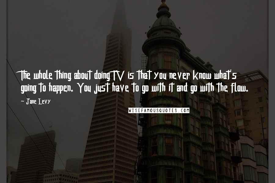 Jane Levy Quotes: The whole thing about doing TV is that you never know what's going to happen. You just have to go with it and go with the flow.