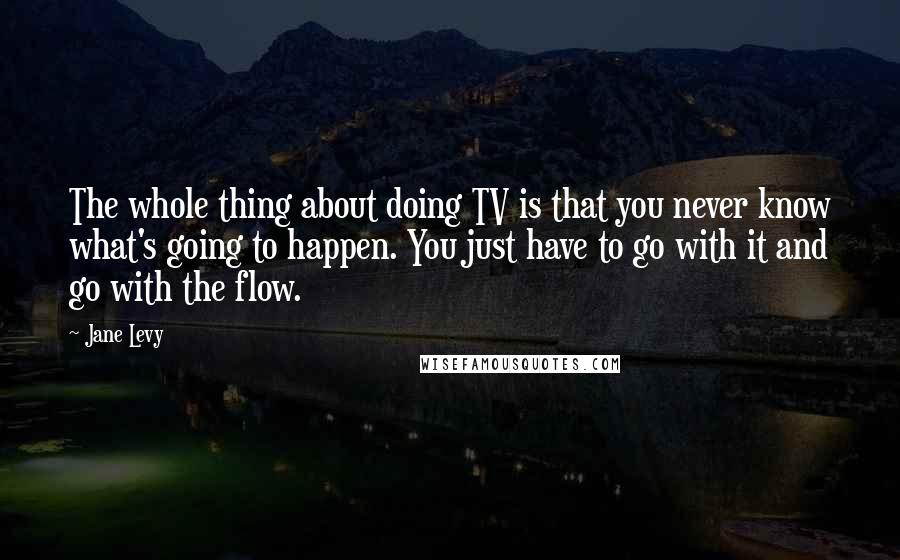 Jane Levy Quotes: The whole thing about doing TV is that you never know what's going to happen. You just have to go with it and go with the flow.