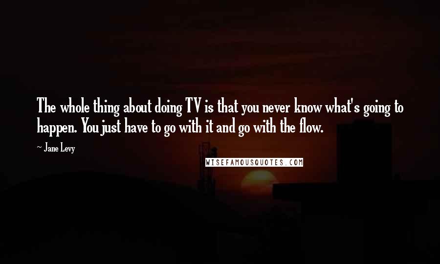 Jane Levy Quotes: The whole thing about doing TV is that you never know what's going to happen. You just have to go with it and go with the flow.