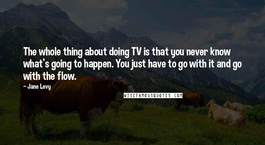 Jane Levy Quotes: The whole thing about doing TV is that you never know what's going to happen. You just have to go with it and go with the flow.