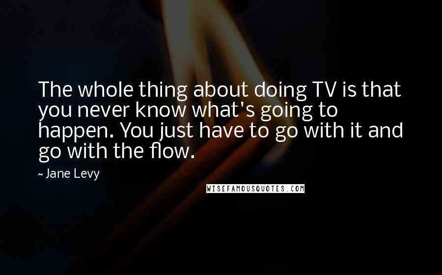 Jane Levy Quotes: The whole thing about doing TV is that you never know what's going to happen. You just have to go with it and go with the flow.