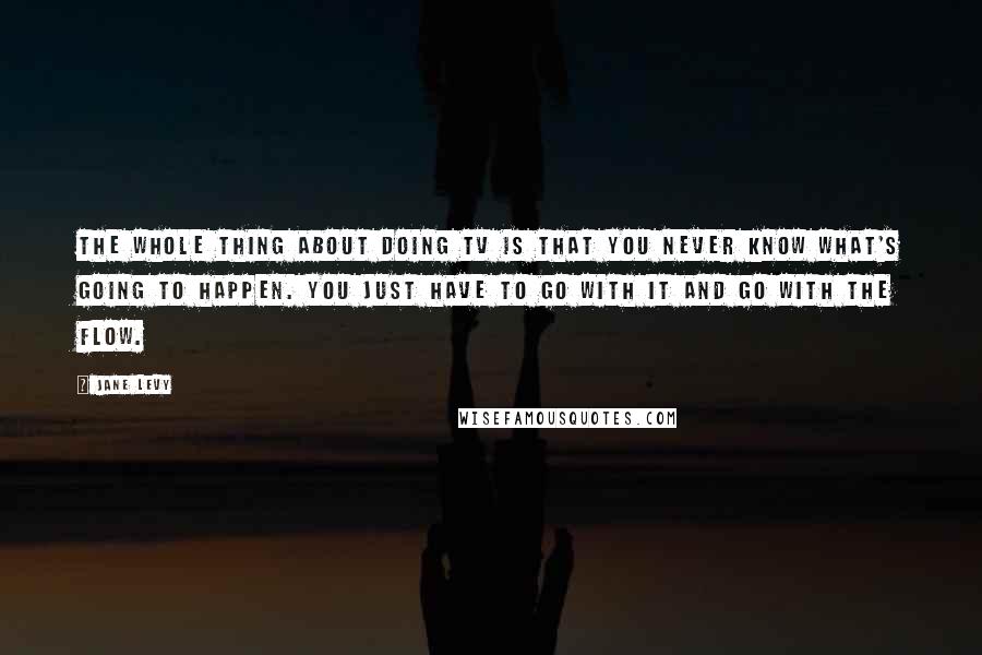 Jane Levy Quotes: The whole thing about doing TV is that you never know what's going to happen. You just have to go with it and go with the flow.