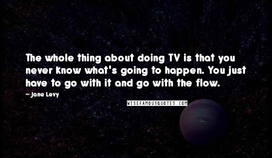 Jane Levy Quotes: The whole thing about doing TV is that you never know what's going to happen. You just have to go with it and go with the flow.