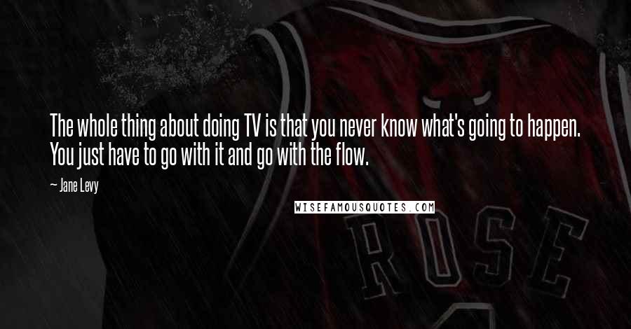 Jane Levy Quotes: The whole thing about doing TV is that you never know what's going to happen. You just have to go with it and go with the flow.