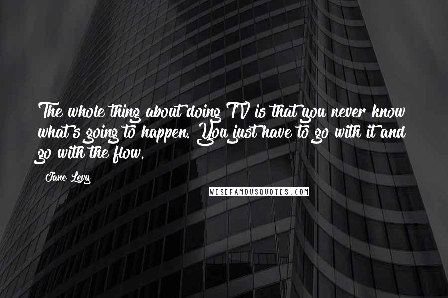 Jane Levy Quotes: The whole thing about doing TV is that you never know what's going to happen. You just have to go with it and go with the flow.