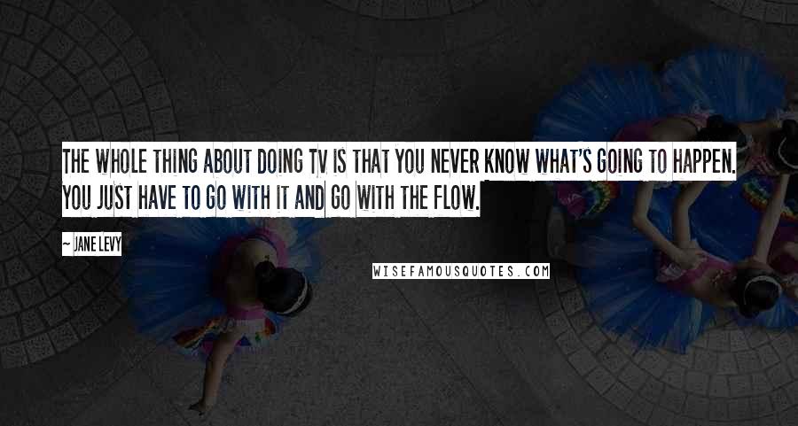 Jane Levy Quotes: The whole thing about doing TV is that you never know what's going to happen. You just have to go with it and go with the flow.