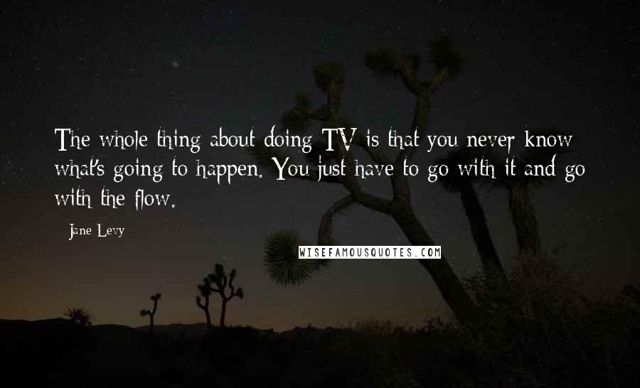 Jane Levy Quotes: The whole thing about doing TV is that you never know what's going to happen. You just have to go with it and go with the flow.