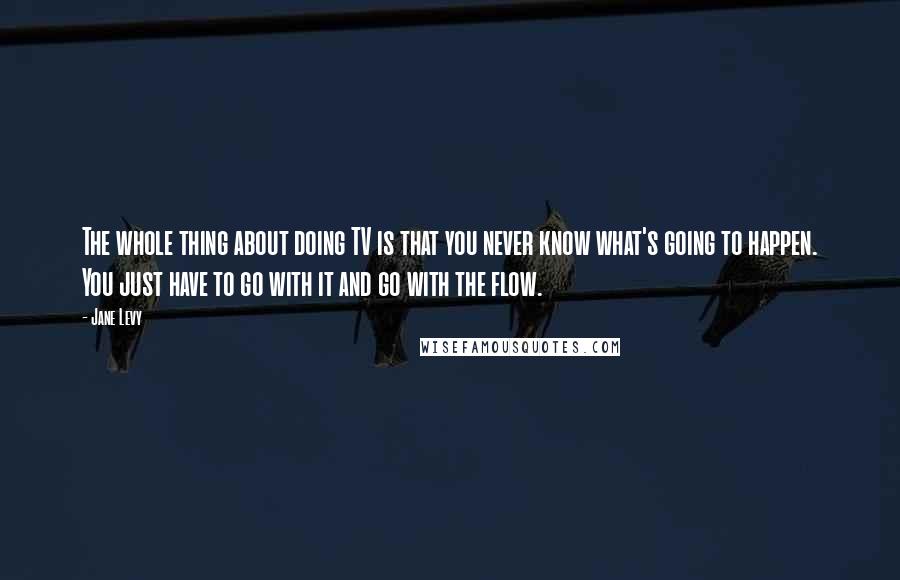 Jane Levy Quotes: The whole thing about doing TV is that you never know what's going to happen. You just have to go with it and go with the flow.