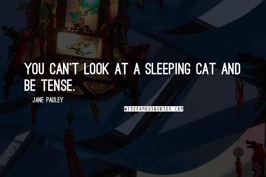 Jane Pauley Quotes: You can't look at a sleeping cat and be tense.