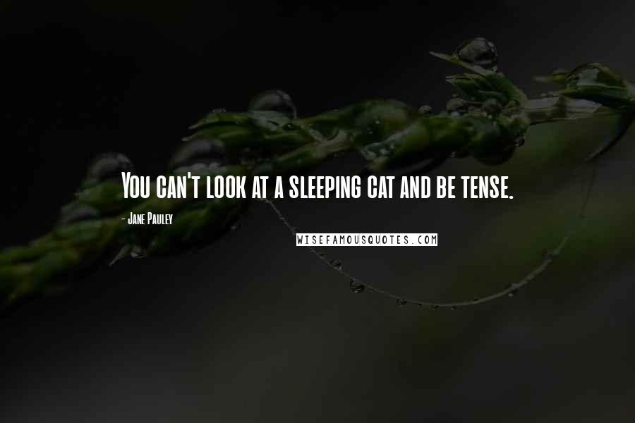Jane Pauley Quotes: You can't look at a sleeping cat and be tense.