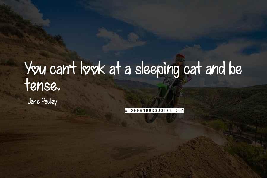 Jane Pauley Quotes: You can't look at a sleeping cat and be tense.