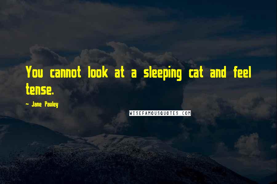 Jane Pauley Quotes: You cannot look at a sleeping cat and feel tense.